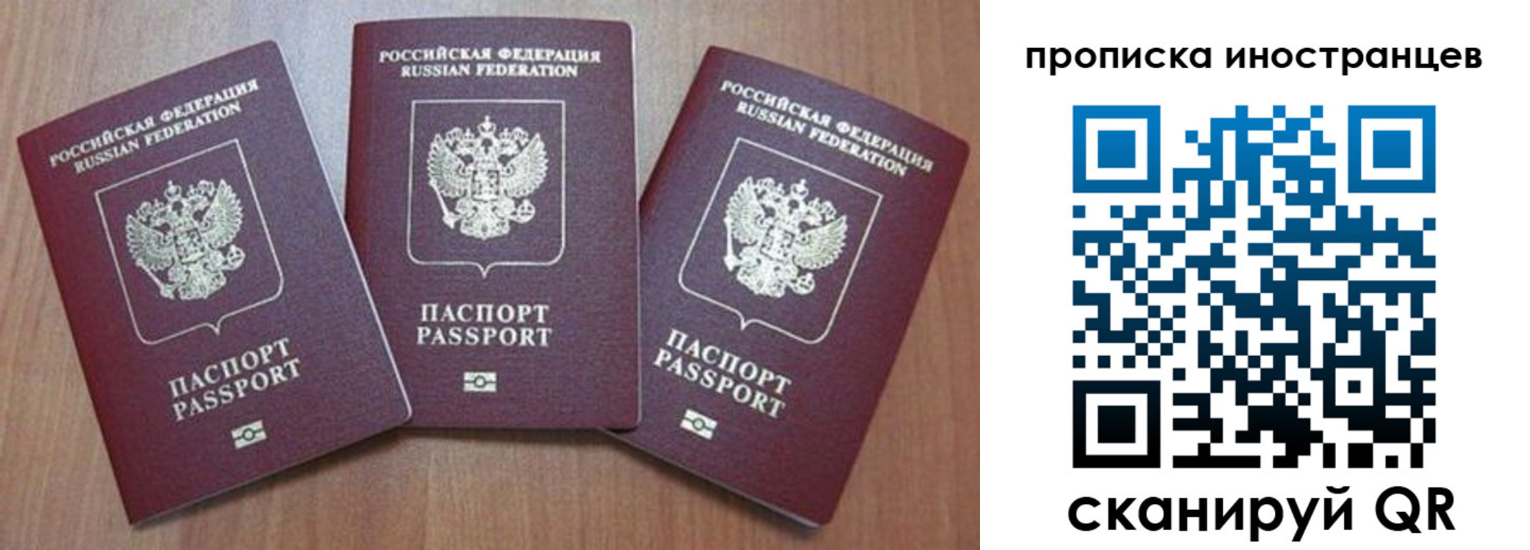 где прописаться в Дмитрове